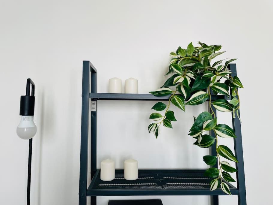 Charming & Cocooning Flat - Canal De L'Ourq Пантен Екстериор снимка